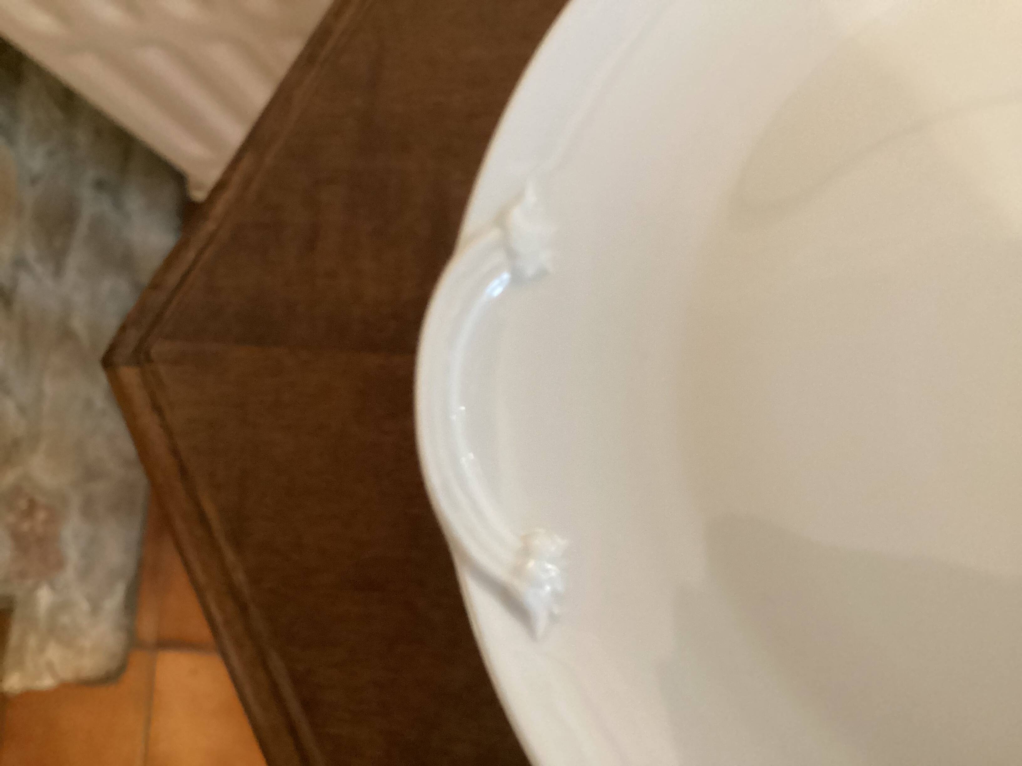 Limoges porcelain dish