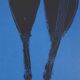 Marino Marini: The Black Horse - Original Signed Lithograph