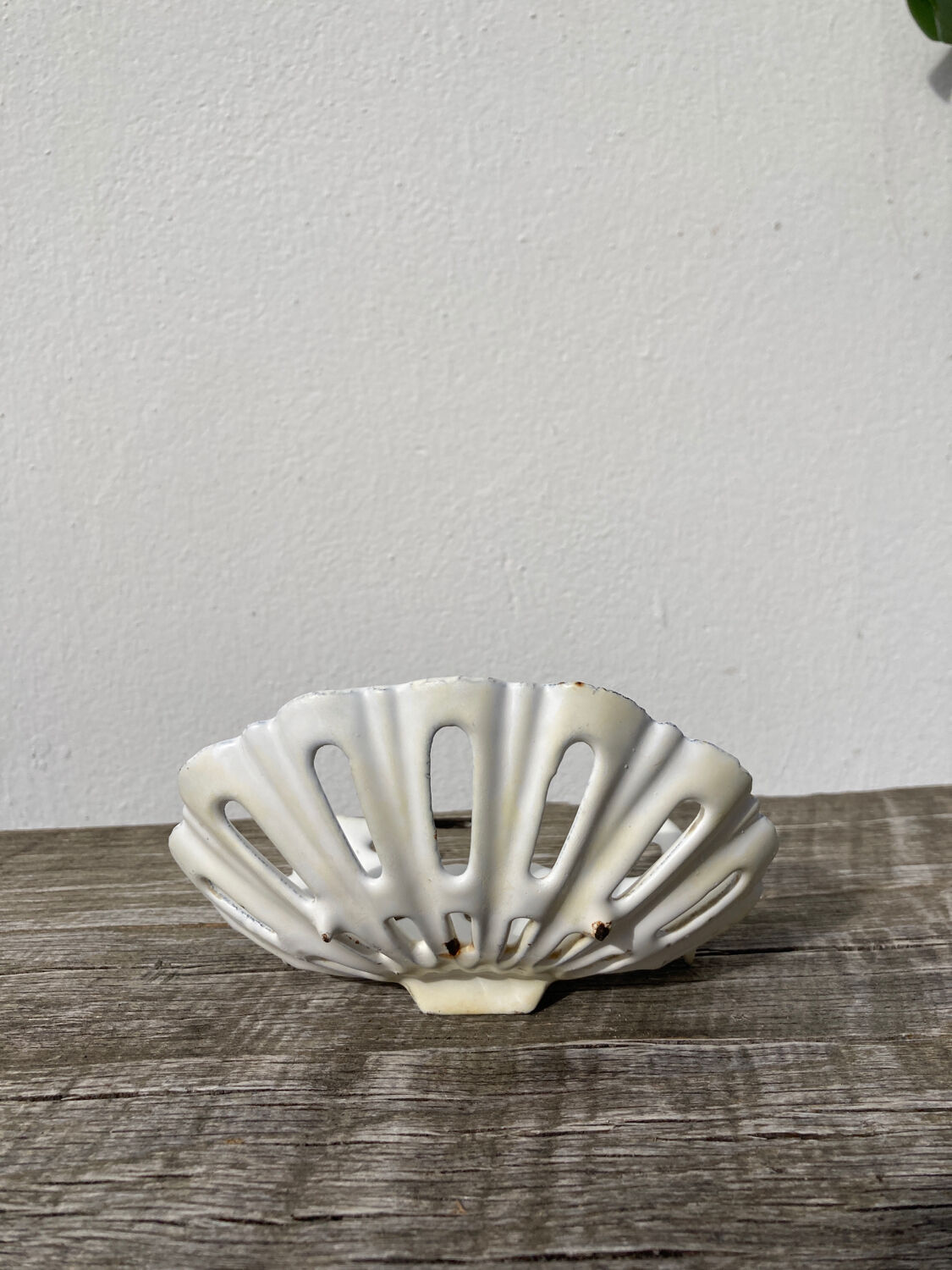 Old shell soap dish in white enamelled cast iron