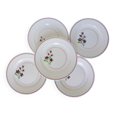 5 assiettes plates de Salins 210646