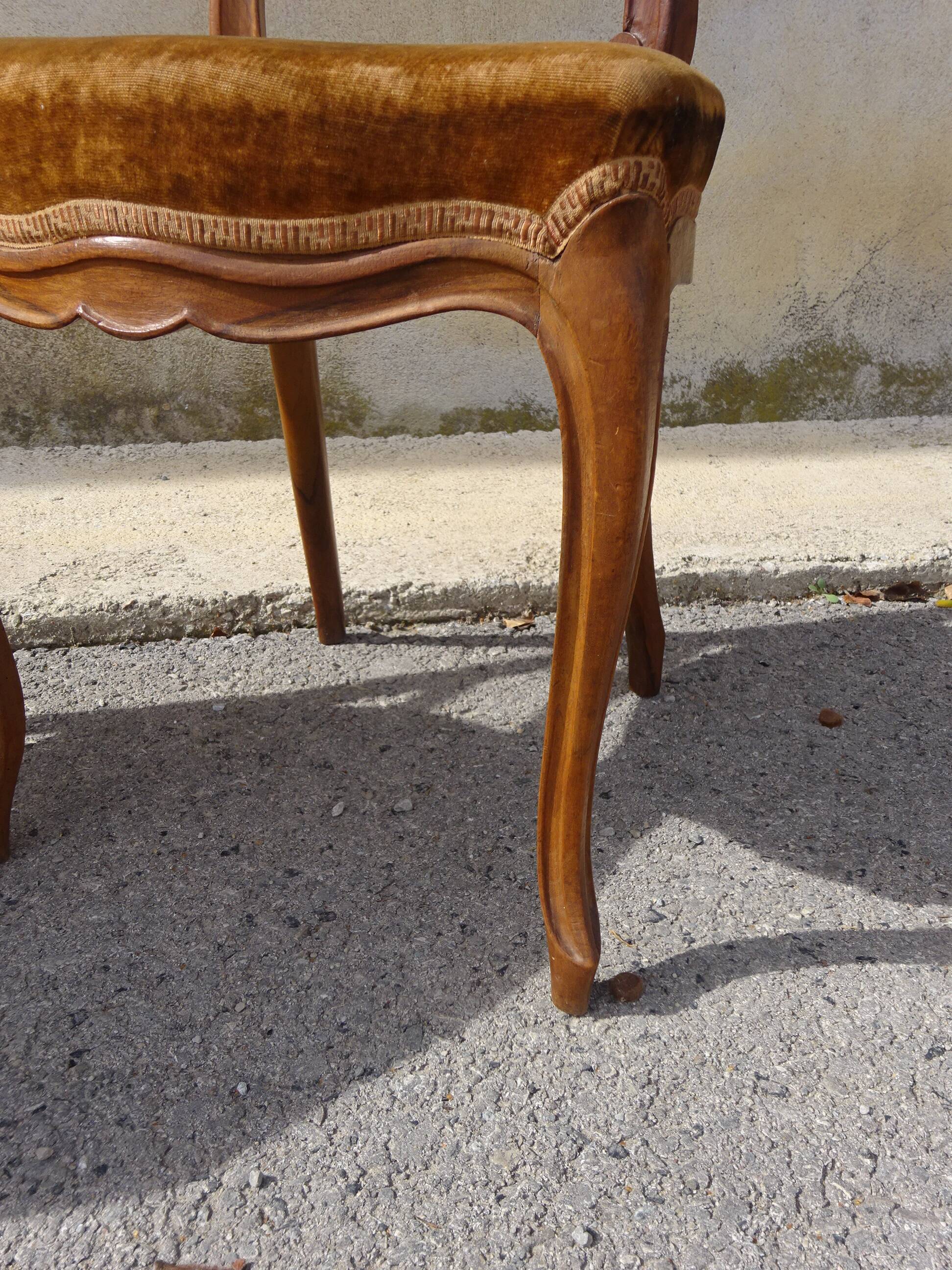 2 old chairs in walnut and velvet