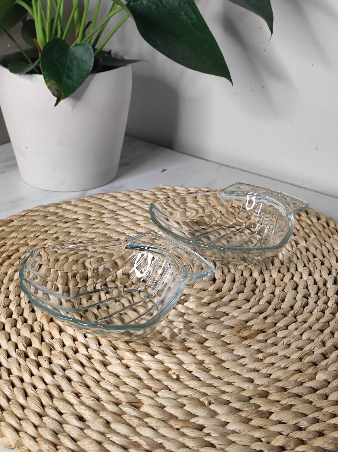 Shell-shaped glass bowls