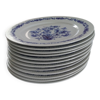 Set of 12 Bavarian porcelain dinner plates - 1960s