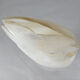 Mother-of-pearl vase
