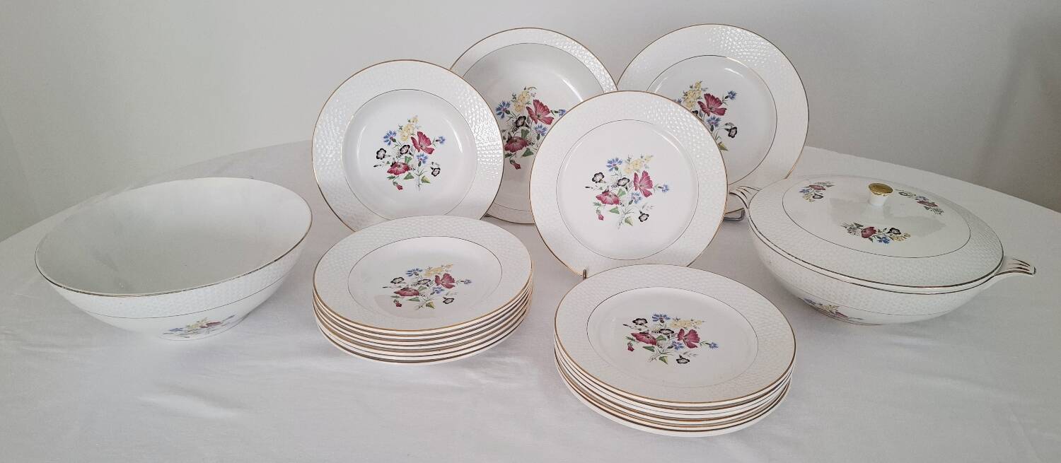 Antique Opaque Porcelain Dinner Service Digoin and Sarregue