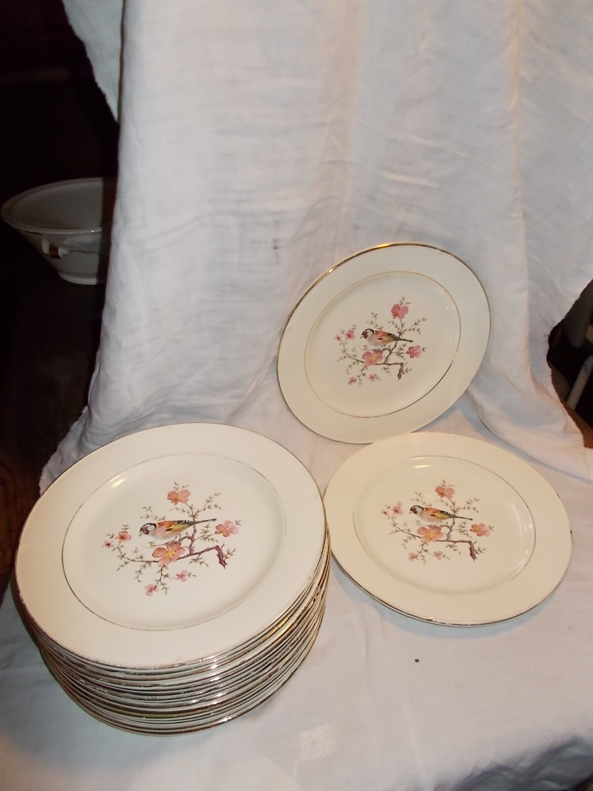 Suite 18 flat plates Salins France