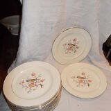 Suite 18 flat plates Salins France