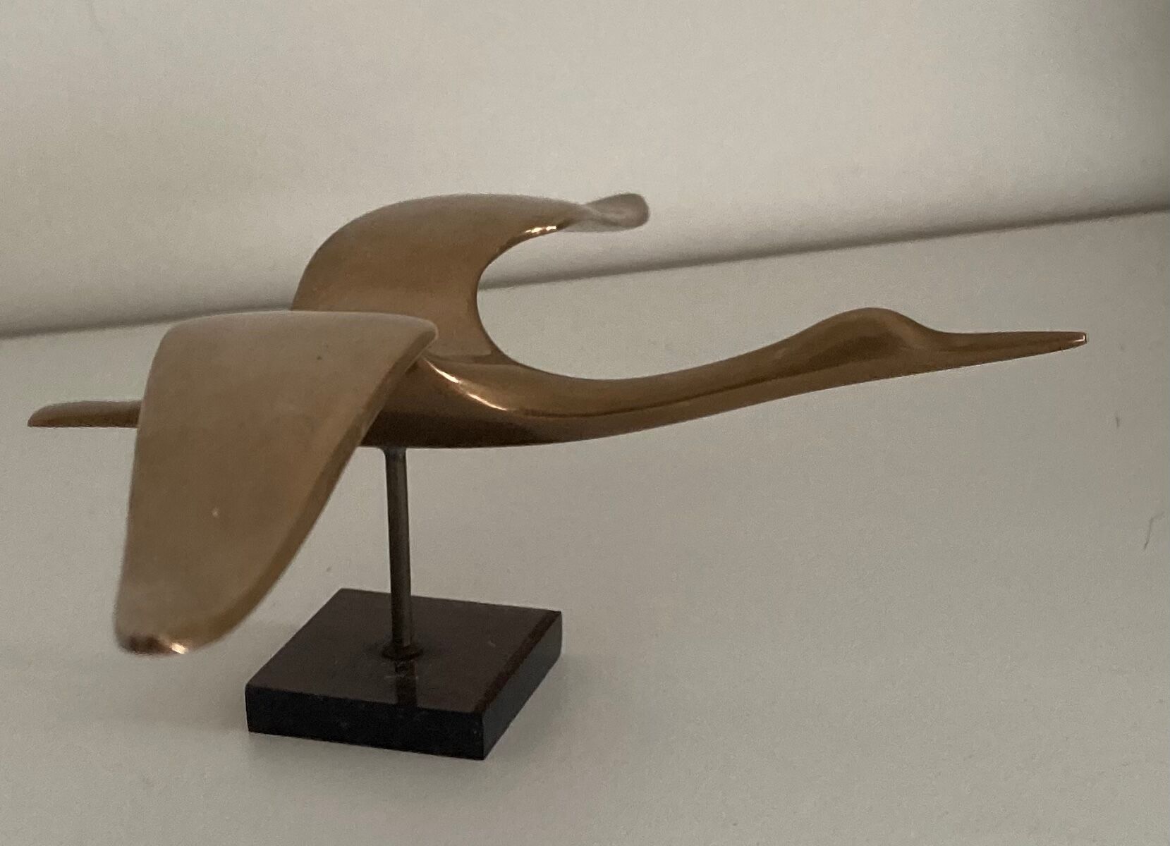 Brass albatross