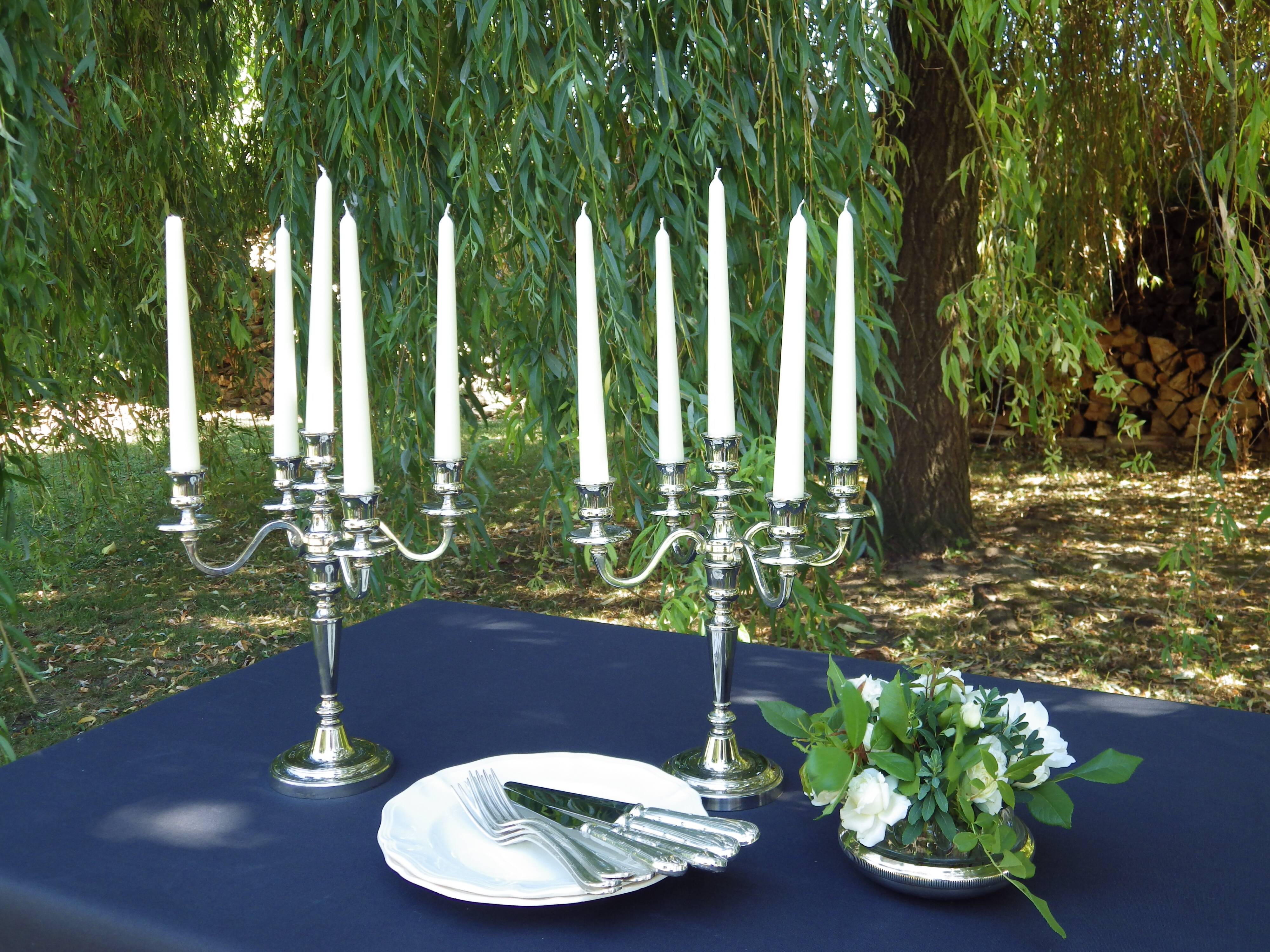 Pair of 5-light candlesticks