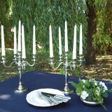 Pair of 5-light candlesticks