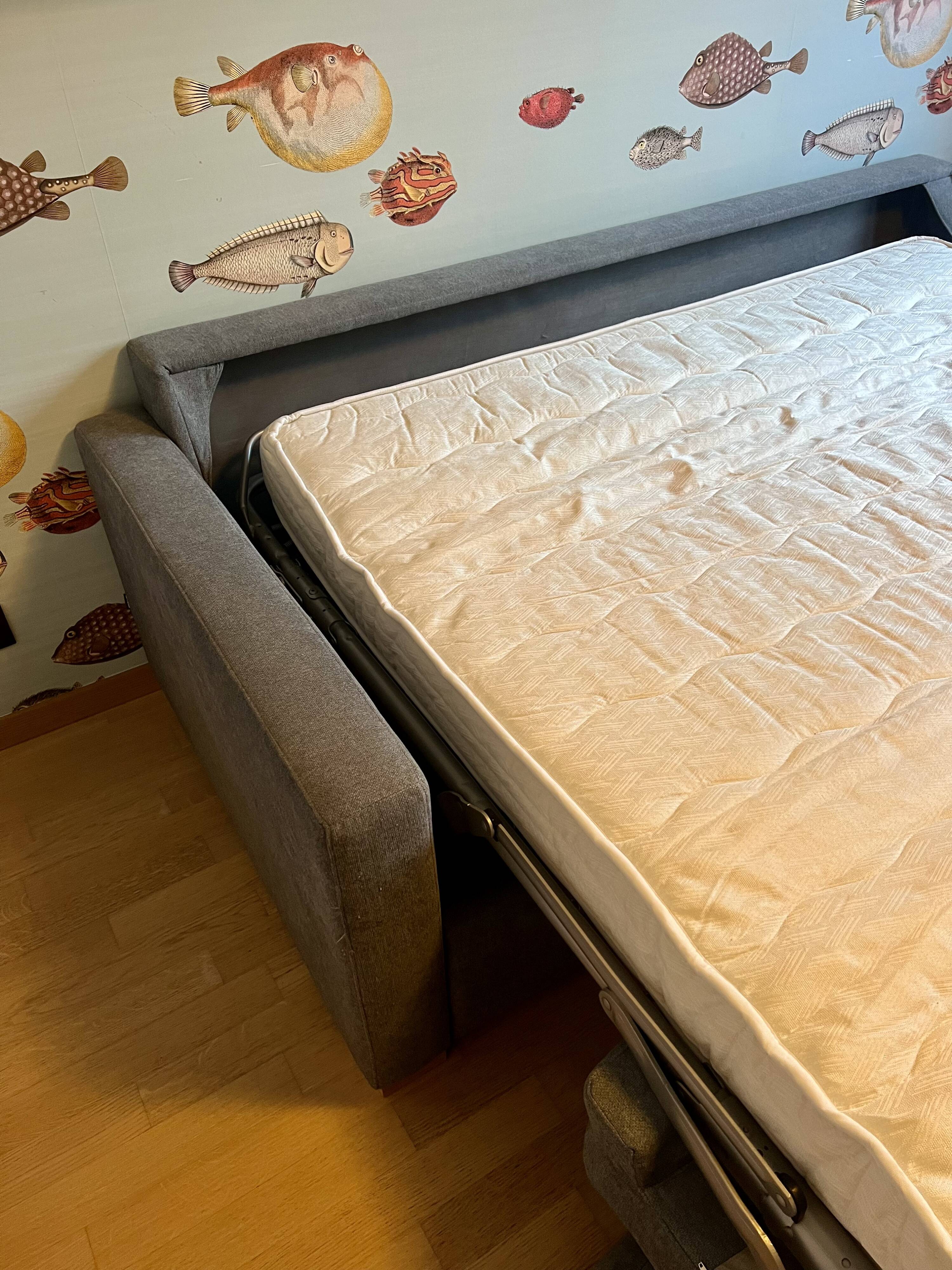 Sofa bed Sits 160 - Lukas