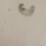 Belgian slip plate. Late 19th century. Wesnel.