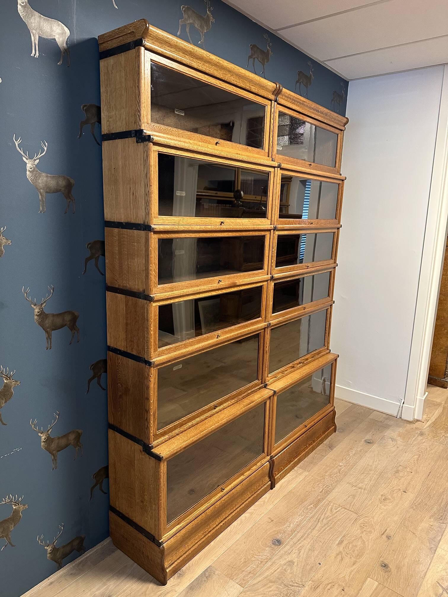Large Glob Wernicke Bookcase