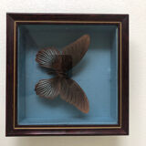 Lot of stuffed butterflies
