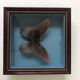 Lot of stuffed butterflies