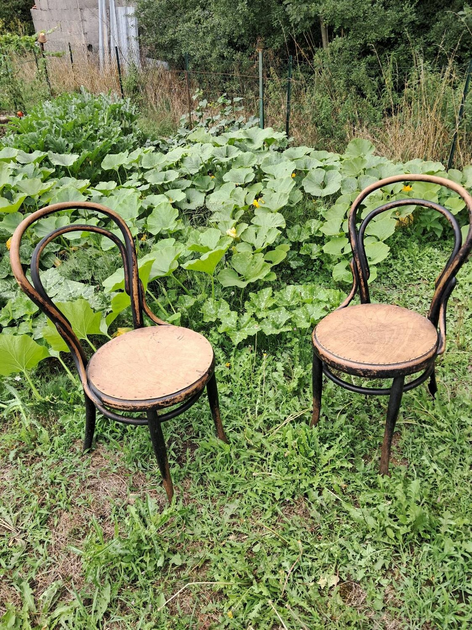 Pair of bistro-style chairs