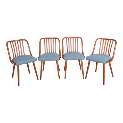 Chaises de salle à manger par Antonin Suman pour Ton, 1960s, Set de 4