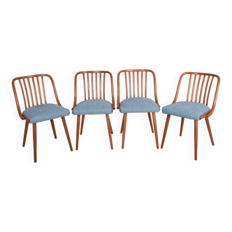 Chaises de salle à manger par Antonin Suman pour Ton, 1960s, Set de 4