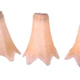 Suspensions Lustre ceiling light Opaline glass France POP 1960 Decoration reduced