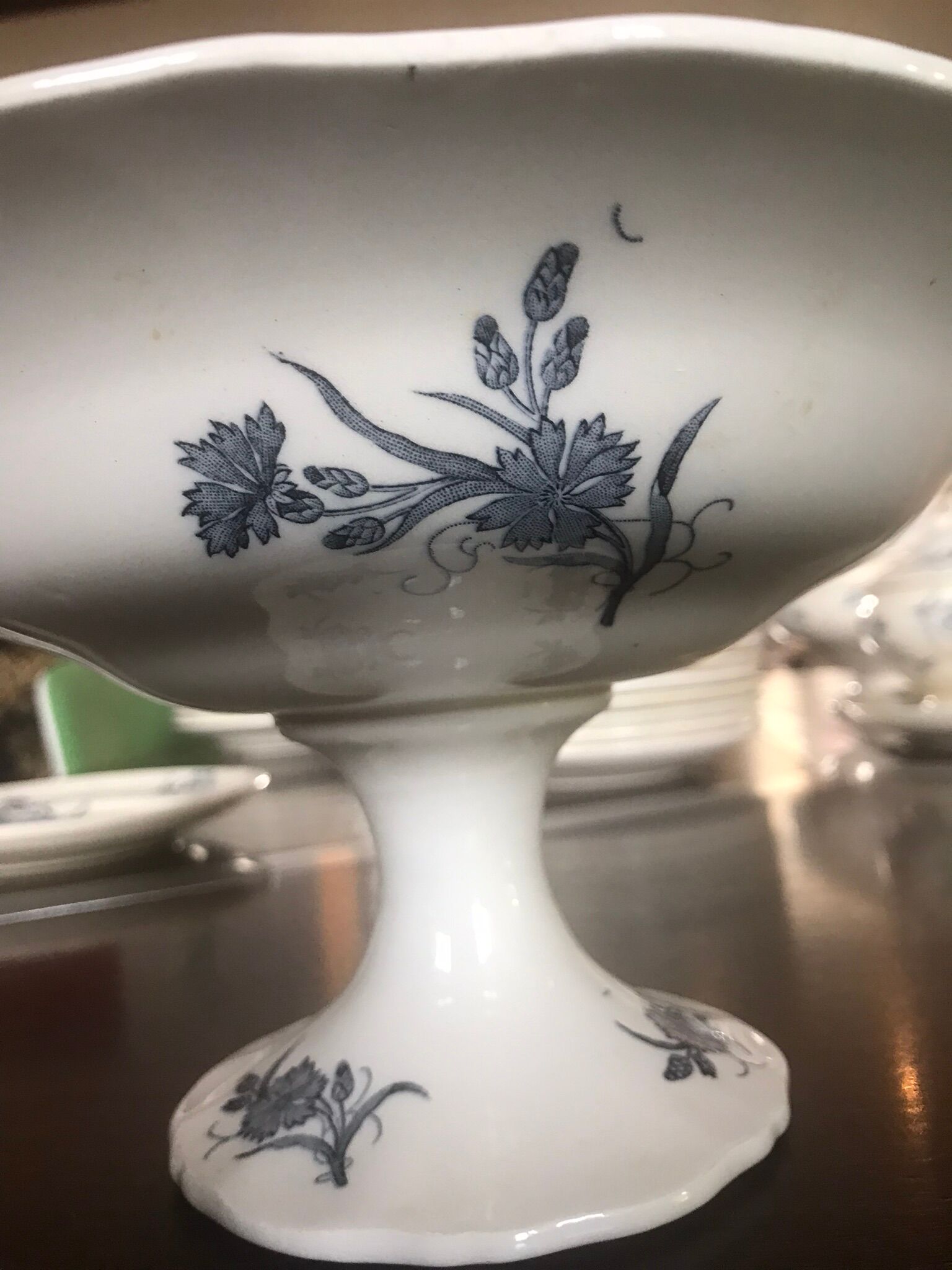 Lot de terre de fer Longchamp modèle Bluets