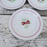 Set of 5 flower patterned dessert plates