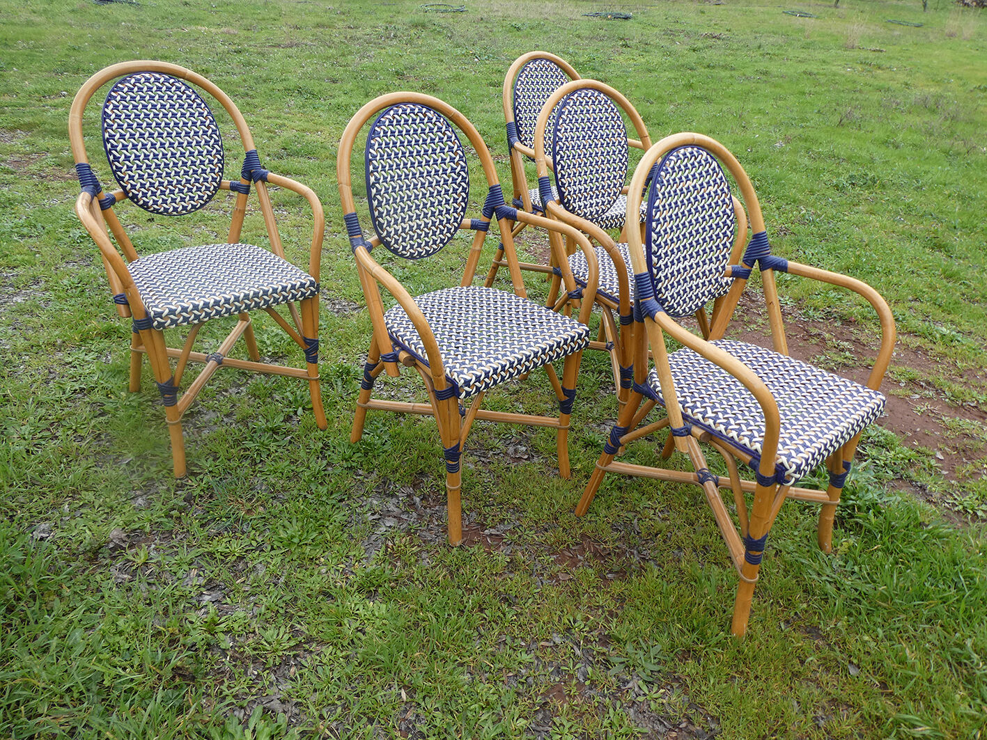 Lot de 5 fauteuils bistrot de terrasse type "parisienne" blanc et bleu