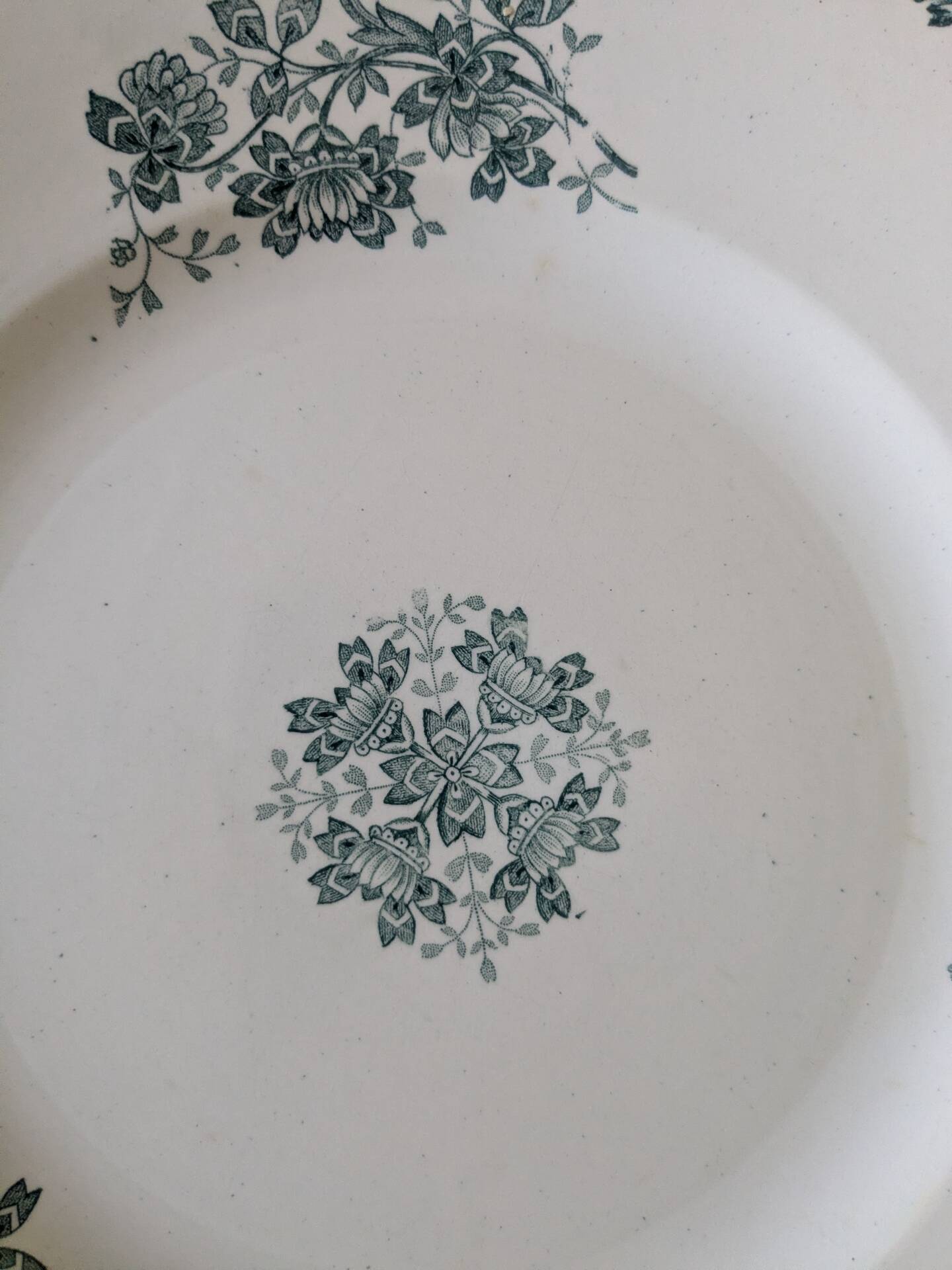Assiettes plates Saint Amand Richelieu