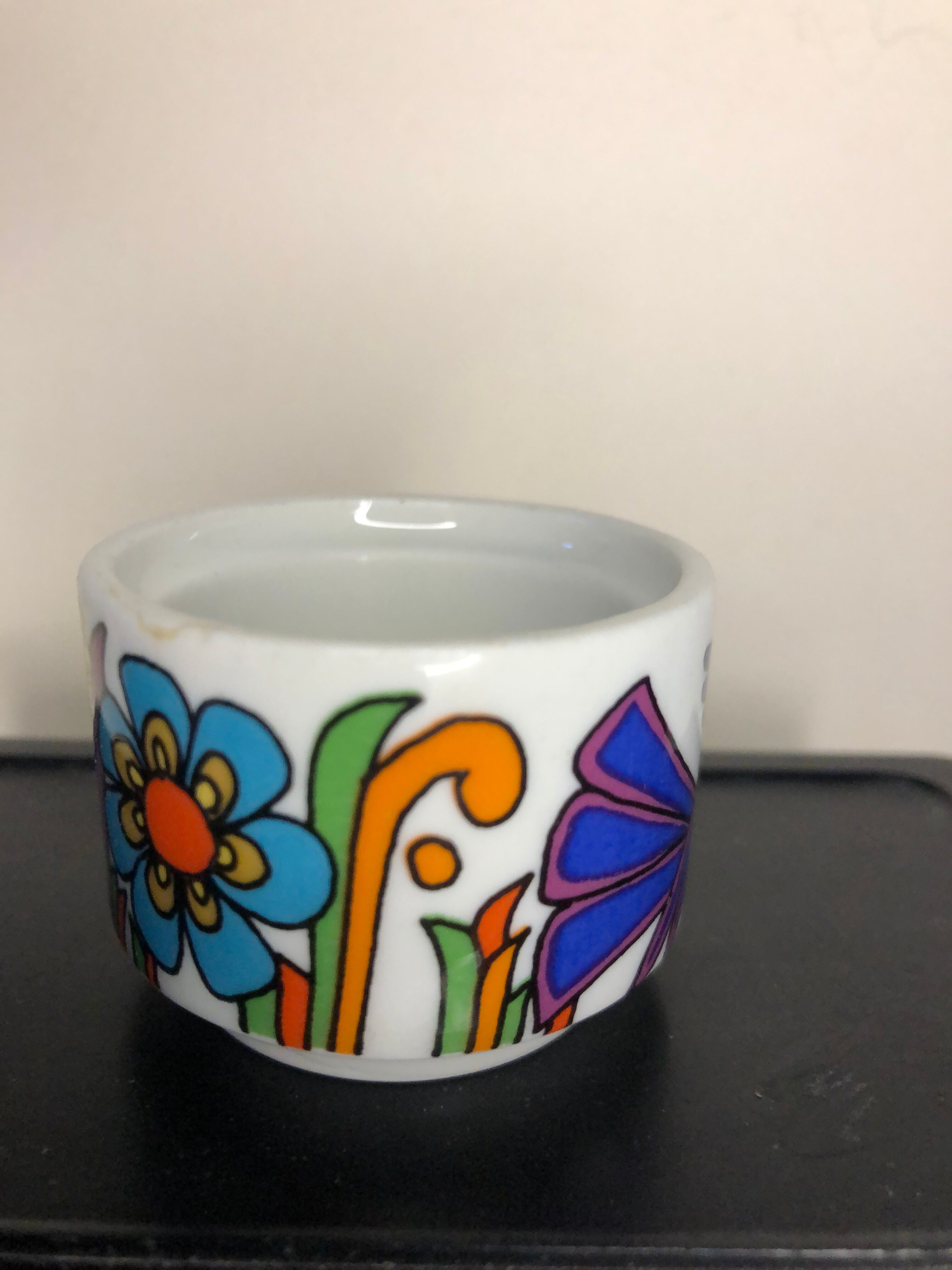 Lot of cockroaches Acapulco Villeroy and Boch