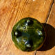 Pretty little antique pot, Majolica Sarreguemines green slipware.