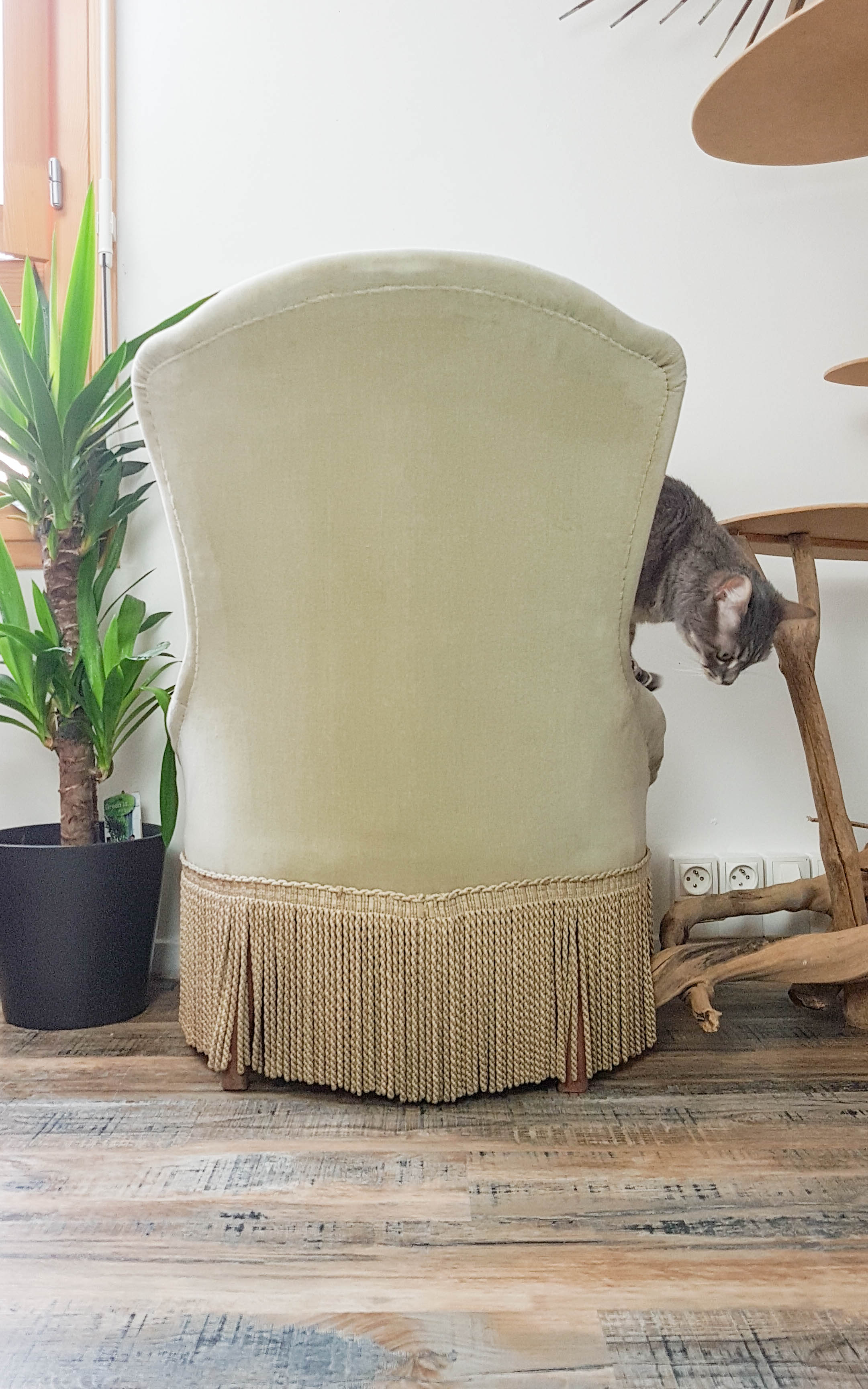 Vintage grey green almond green velvet toad chair