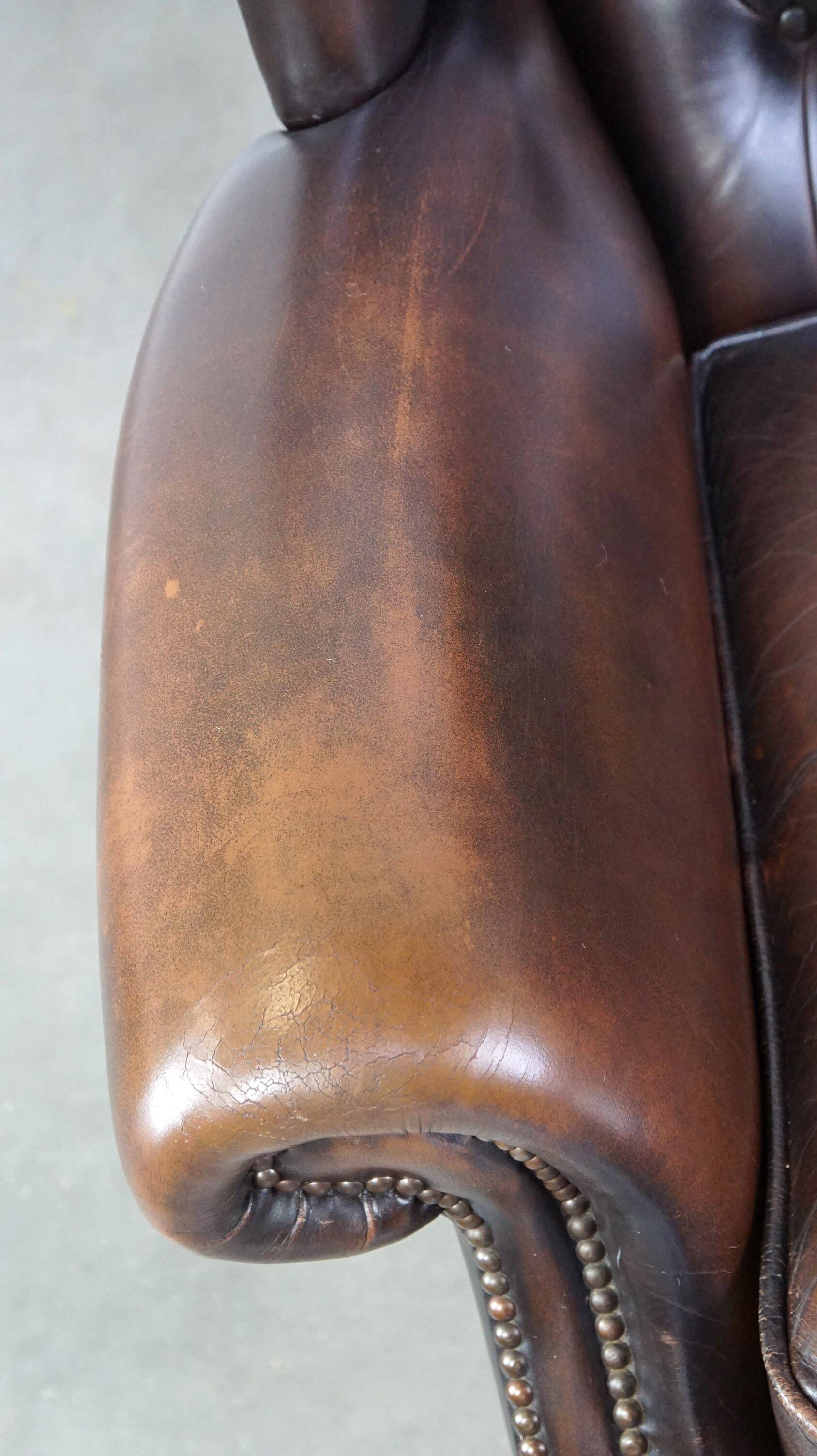 Chesterfield wing chair in dark brown leather with a luxurious appearance