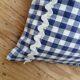 Set of 2 vintage cushions, blue gingham