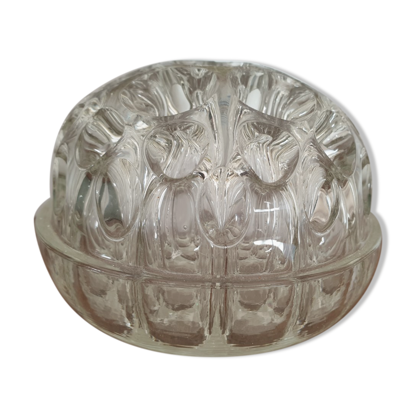 Ancient flower picnic