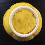 PIchet pear in dabbling