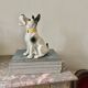 DESVRES earthenware dog with sulphide eyes, 1950