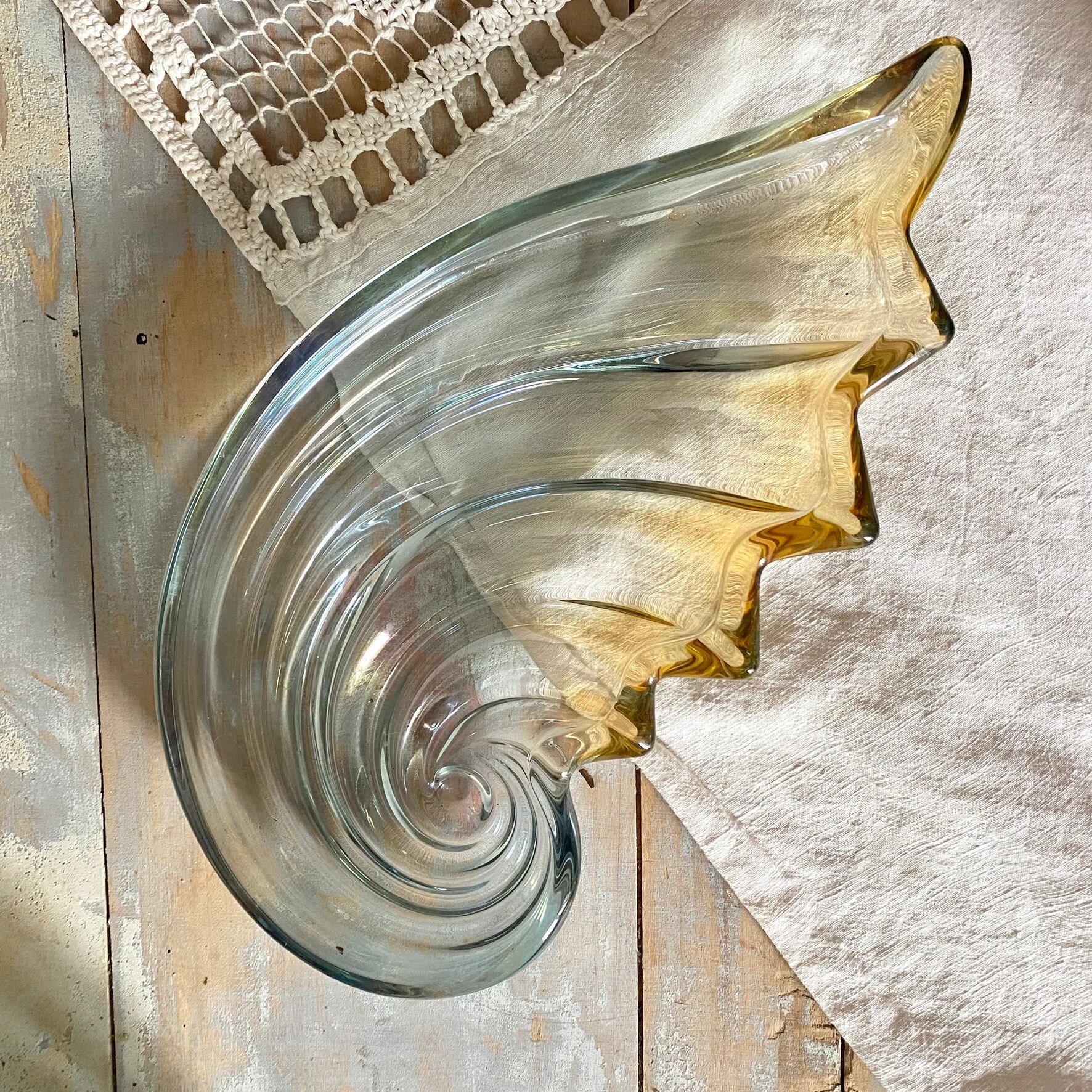Nautilus shell catch-all 34 cm