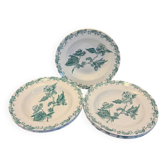 Lot de 7 assiettes creuses Terre de fer, vertes