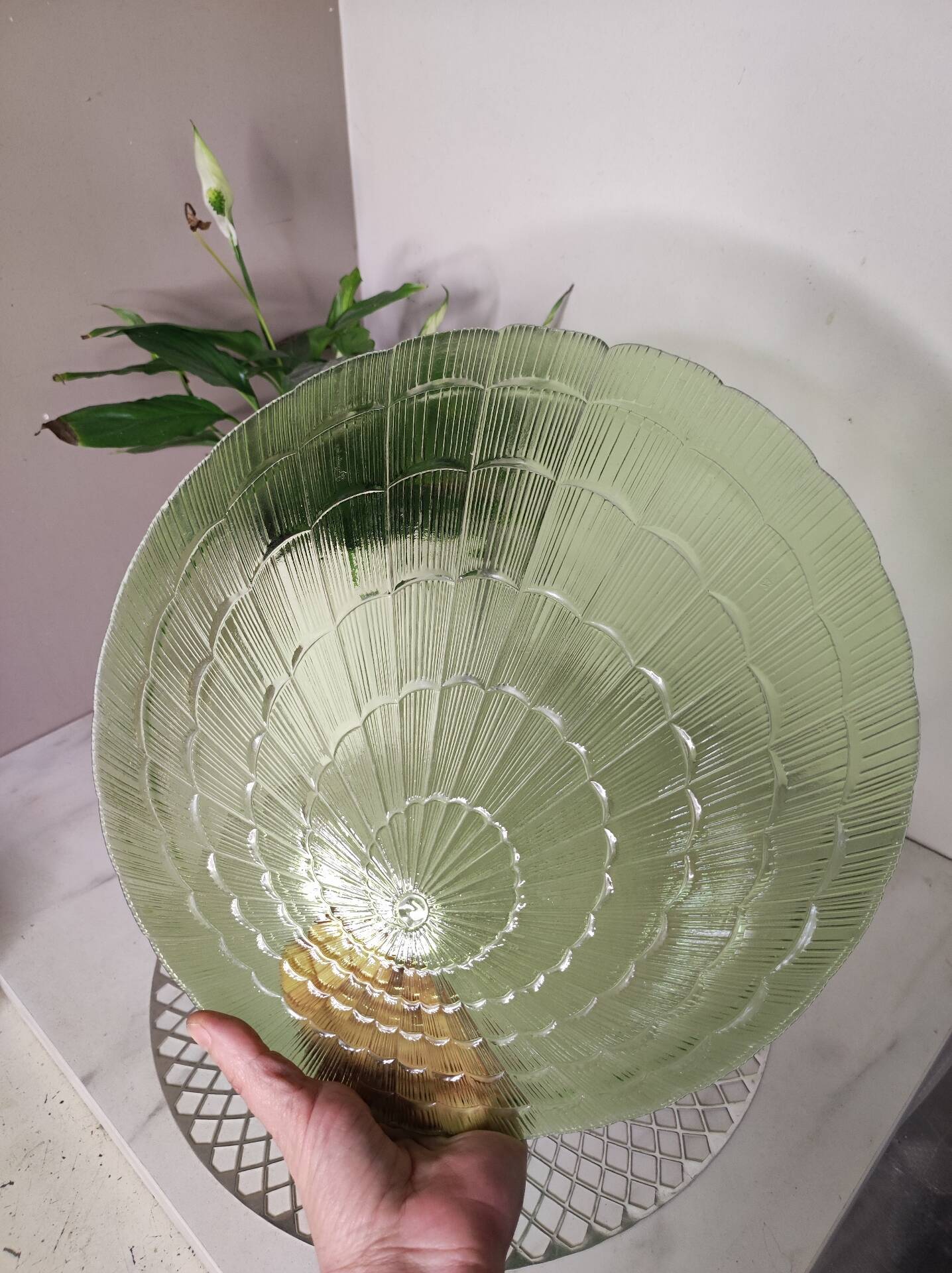 Large spiral dish