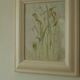 "Arums" by Blum