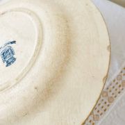 Antique opaque porcelain plates from Gien, Provençal model