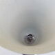 Lamp metal chrome period Art Deco tulip cornet