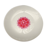 Set of 10 soup plates of the 70 Thomas Germany