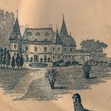 9 dessert plates old chickens, geese and pheasants blue field service Terre de Fer