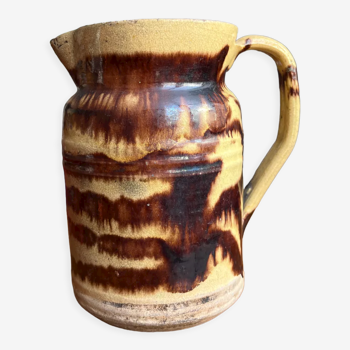 Marbled pitcher