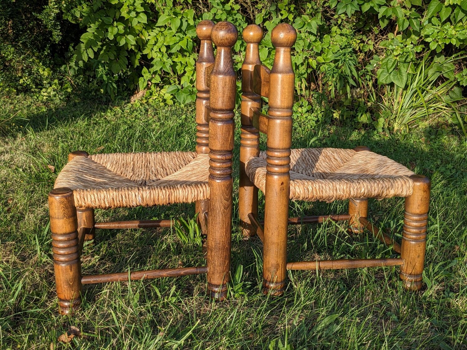Duo of brutalist straw-covered oak chairs 1940-1950 # Charles Dudouyt