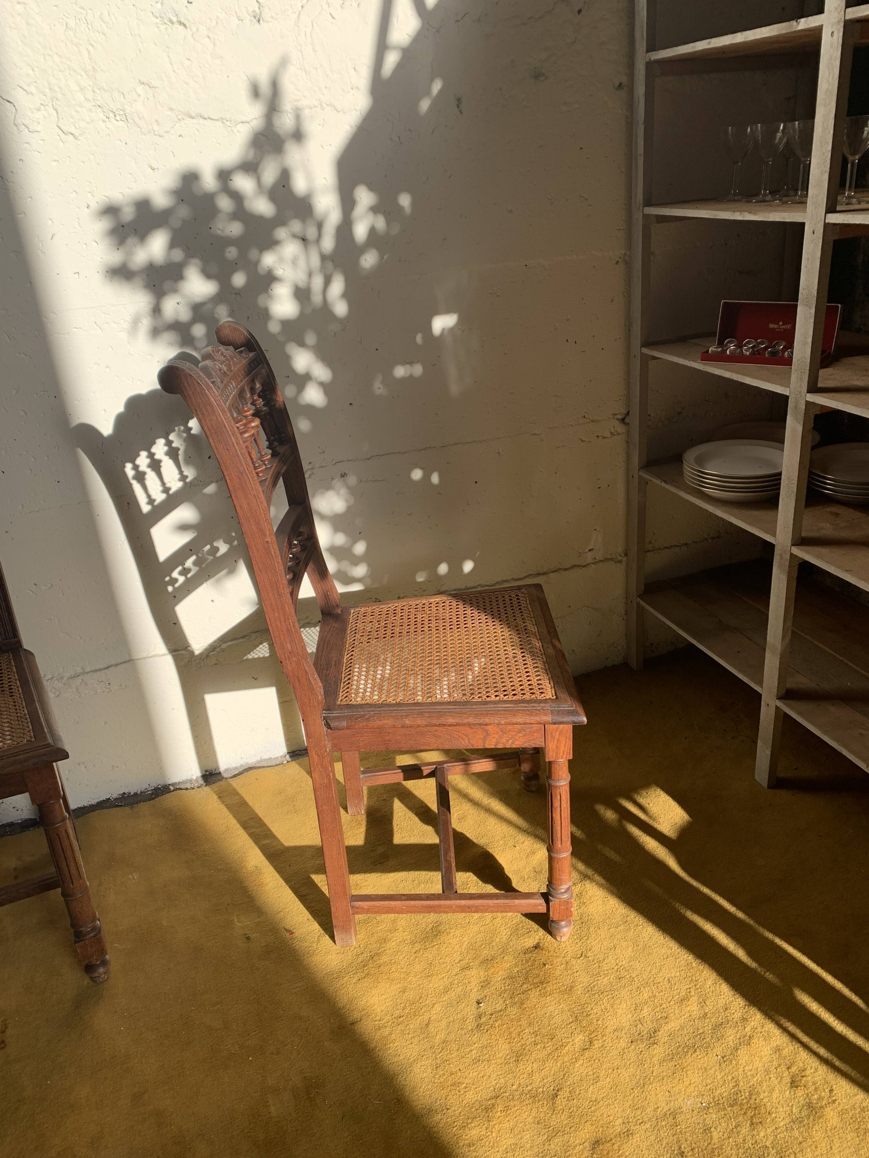 6 carved wooden chairs with cane seats