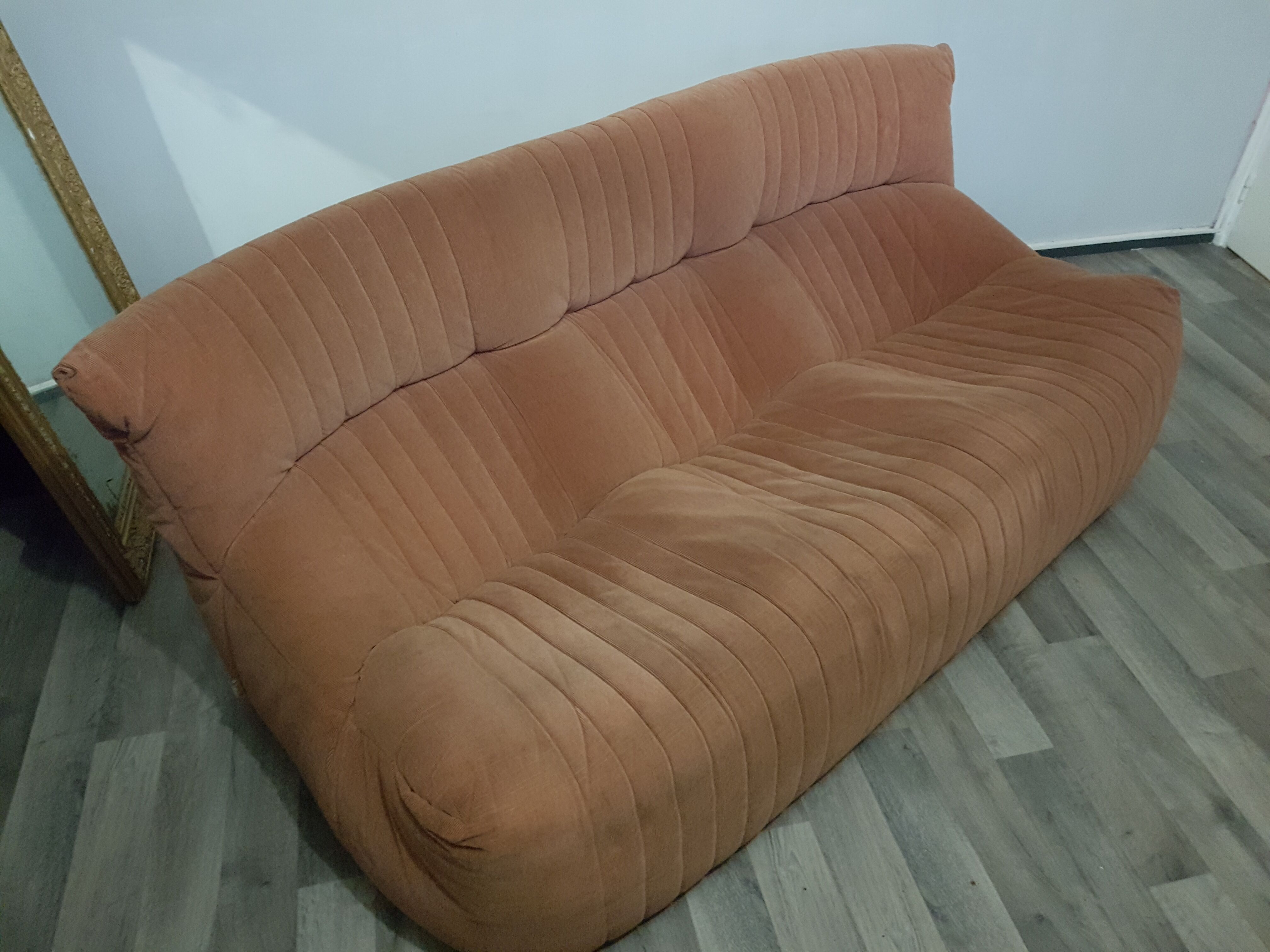 Aralia sofa by Michel Ducaroy