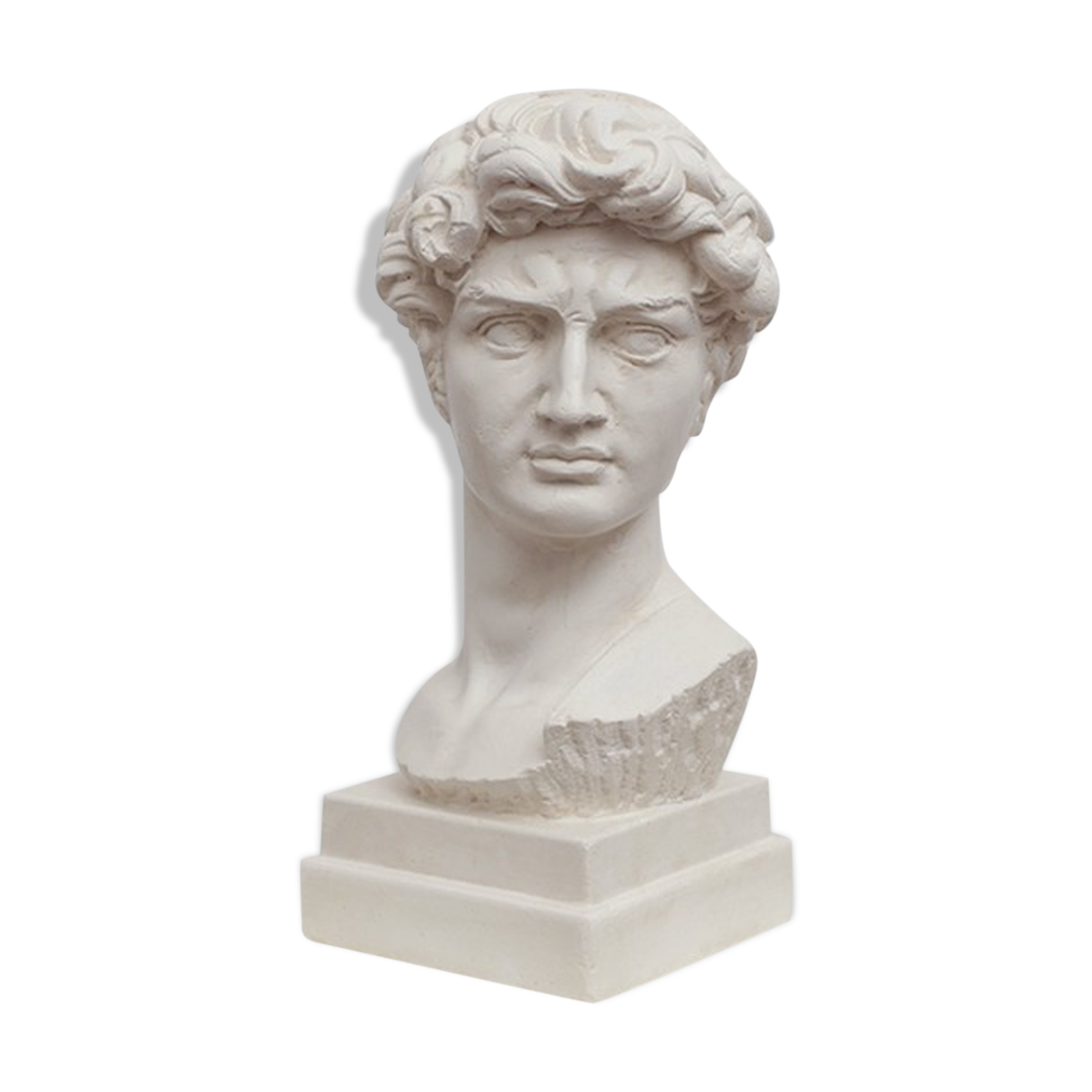 David head in white plaster