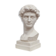 David head in white plaster