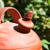 Terracotta jug